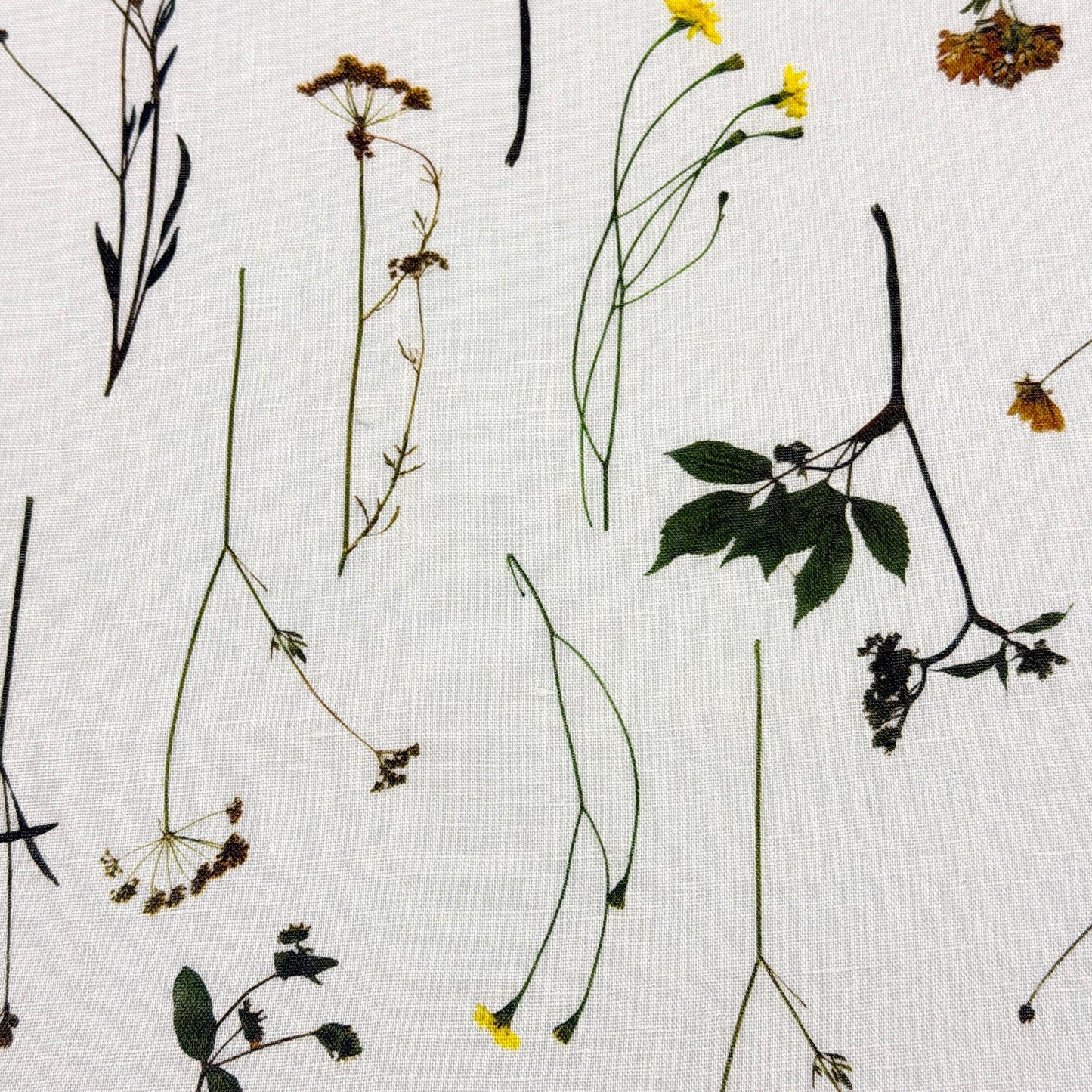 Bloom Plant Garden Print 100% Lightweight Linen Relaxed Roman Shade, CL1106