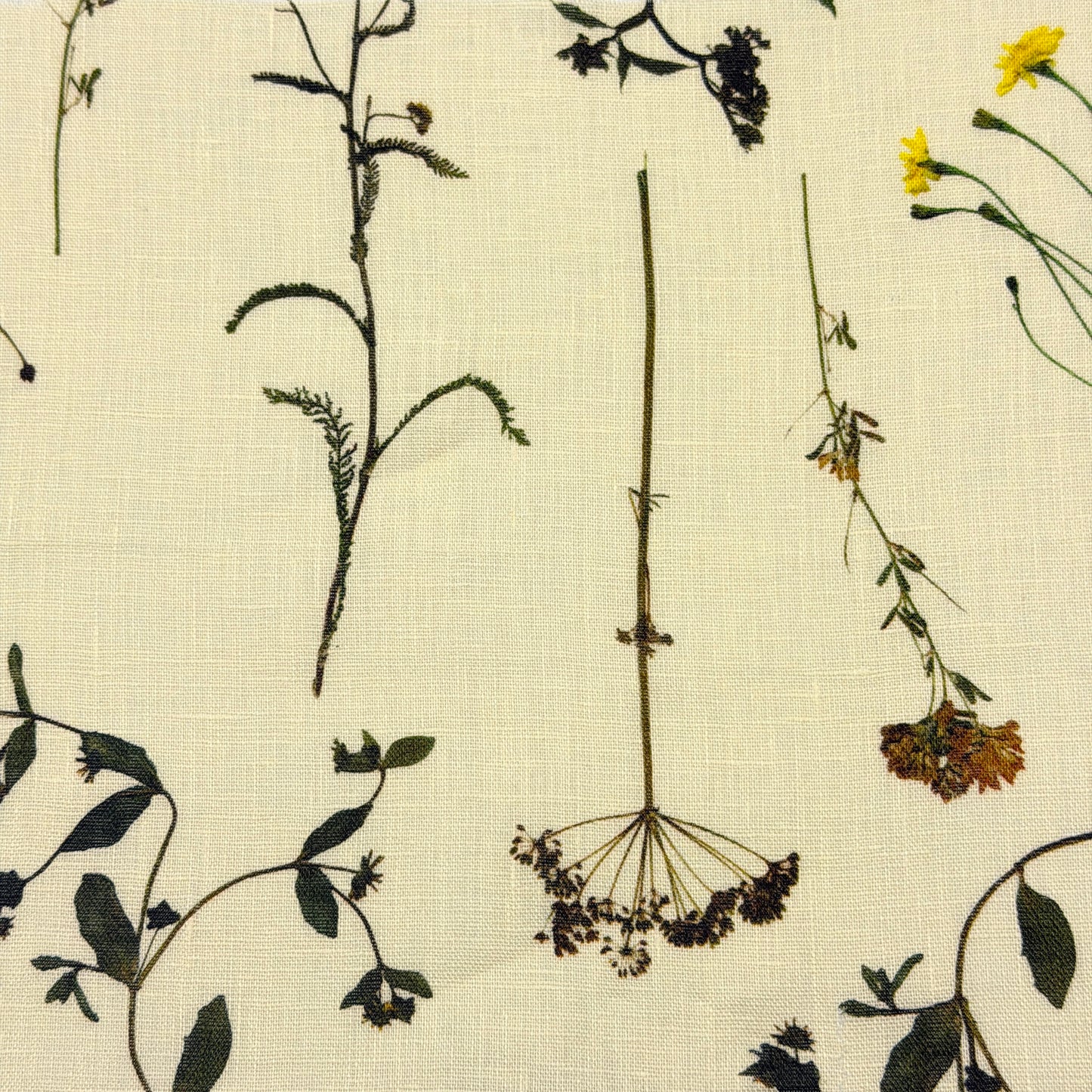 Bloom Plant Garden Print 100% Lightweight Linen Relaxed Roman Shade, CL1106