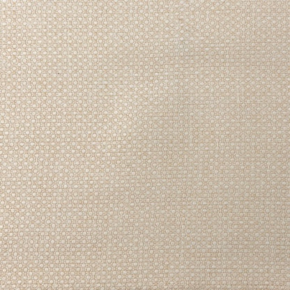 Textured Patterned Polypropylene Upholstery Fabric by the Yard | 54"Width | CL1186