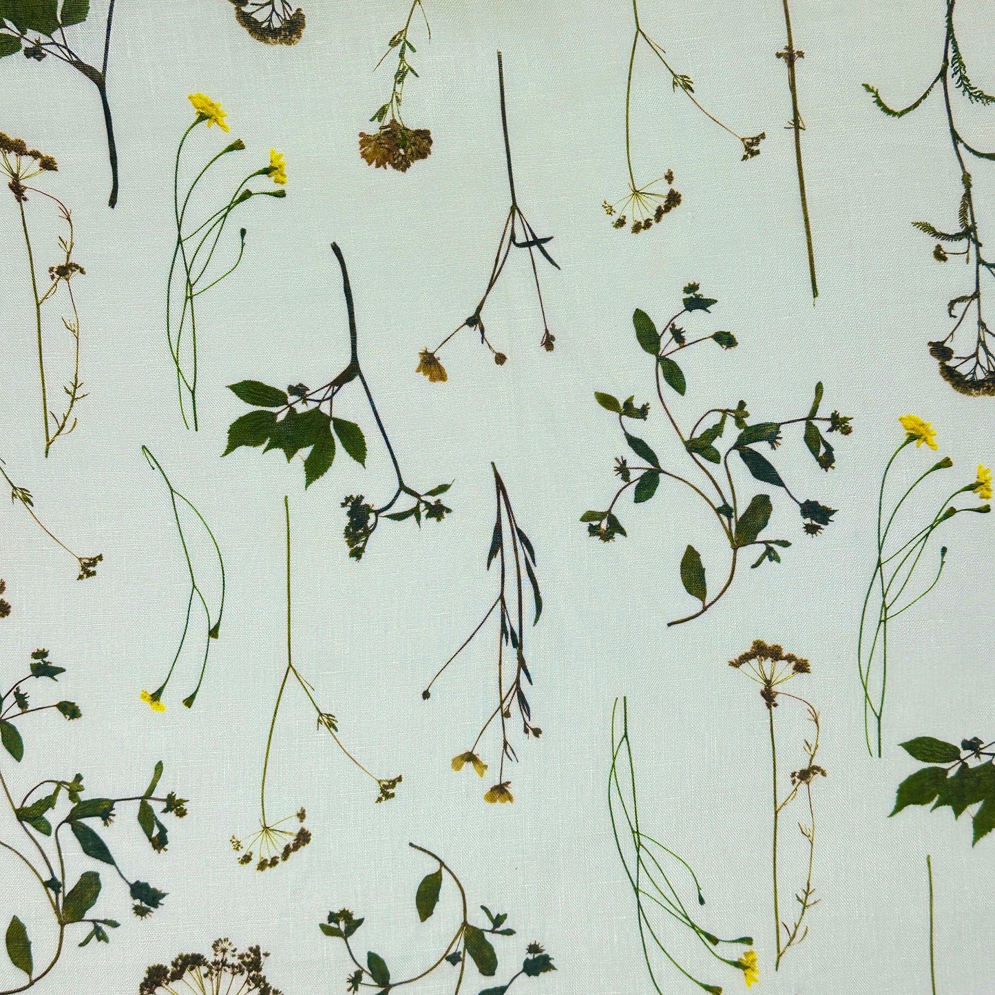 Bloom Plant Garden Print 100% Lightweight Linen Relaxed Roman Shade, CL1106