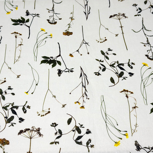 Linen with Patterns of dried plants and flowers on a white background

