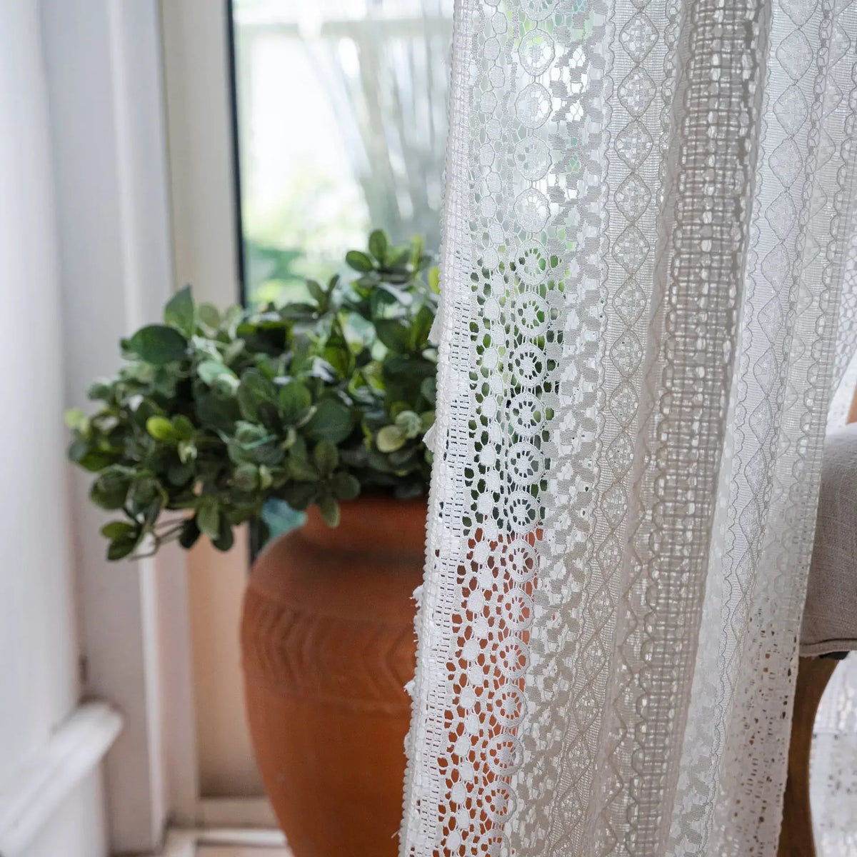 Lace curtain with a plant in the background