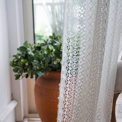 Lace curtain with a plant in the background